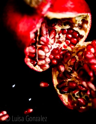 DSC_3526-Granada-LGGP