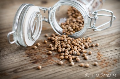 01-Semillas-cilantro-LGGP