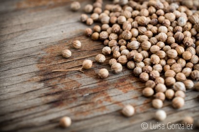 02-Semillas-cilantro-LGGP