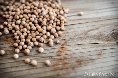 03-Semillas-cilantro-LGGP