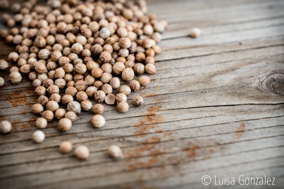 03-Semillas-cilantro-LGGP