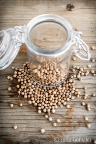 04-Semillas-cilantro-LGGP