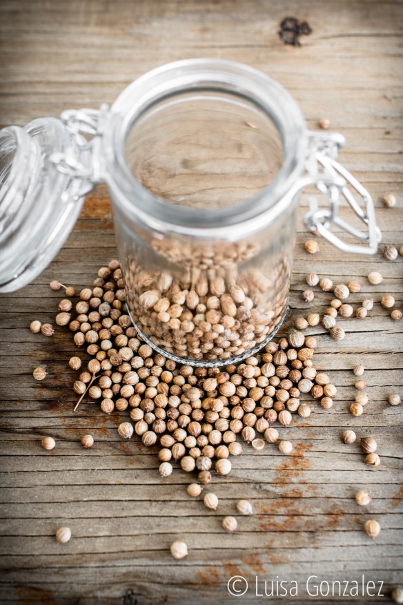 04-Semillas-cilantro-LGGP