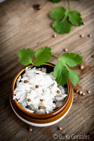 05-Semillas-cilantro-LGGP