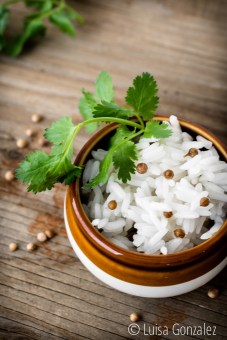 06-Semillas-cilantro-LGGP