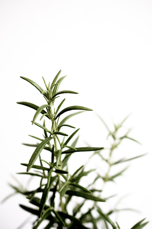 Hierbas-05-05-2015-4