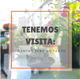 Capture d’écran 2015-07-23 à 12.01.05