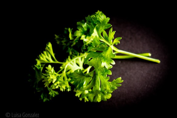 01-Perejil-LGGP