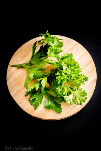 02-Perejil-LGGP