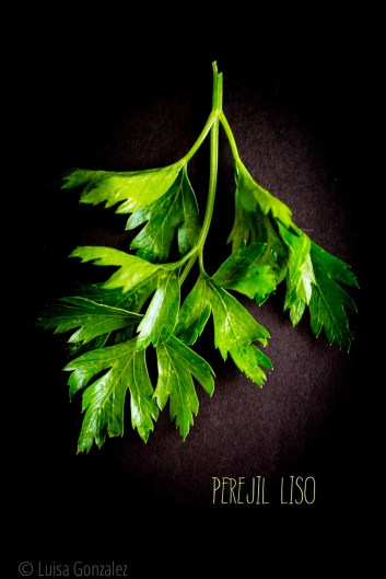 04-Perejil-LGGP