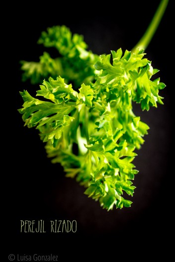 05-Perejil-LGGP