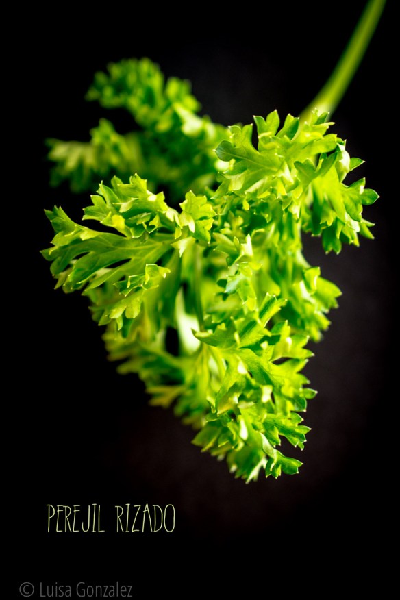 05-Perejil-LGGP