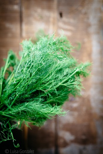 01-Eneldo-18-09-2015