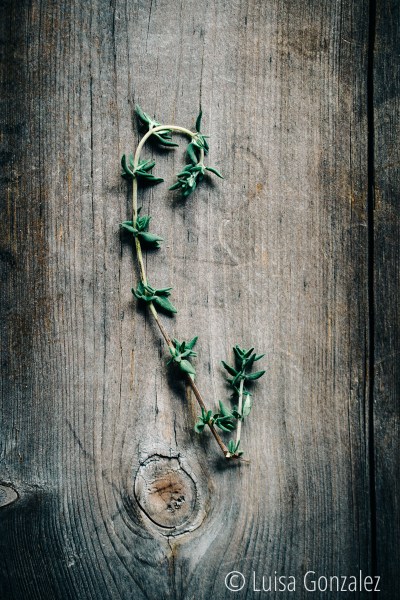 01-21-10-2015-Tomillo