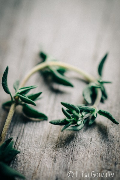 02-21-10-2015-Tomillo