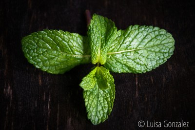 23-Hierbabuena-06-10-2015