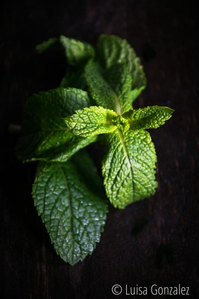 24-Hierbabuena-06-10-2015