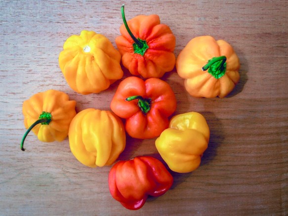 Hidropónicos Pura Vida