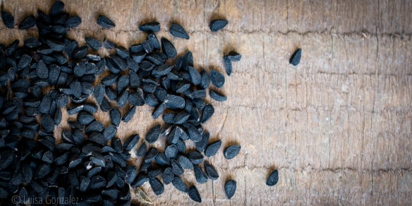 08-Nigella-22-02-2016-LGGP