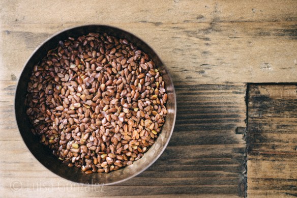 01-Linaza-20-04-2016