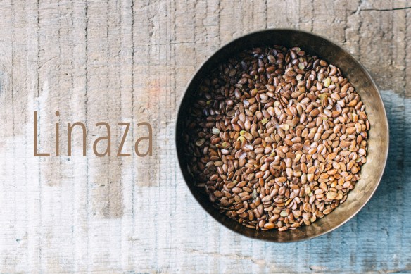 06-Linaza-20-04-2016