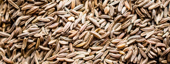 04-17-05-2016-Alcaravea