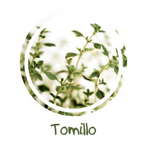 Tomillo