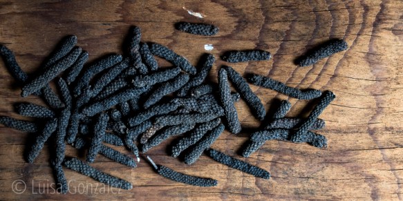 02-15-07-2016-Pimienta-Larga