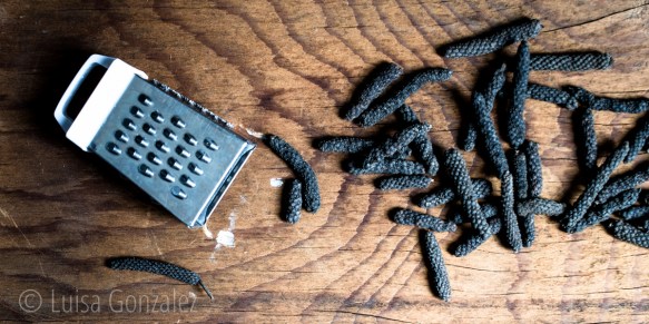 04-15-07-2016-Pimienta-Larga