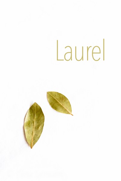 05-Laurel-01-07-2016