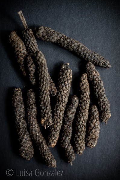 07-15-07-2016-Pimienta-Larga