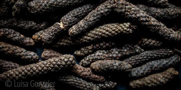 08-15-07-2016-Pimienta-Larga