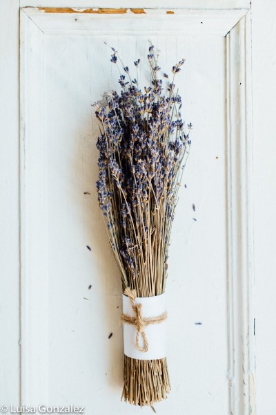 10-Lavande-24-07-2016