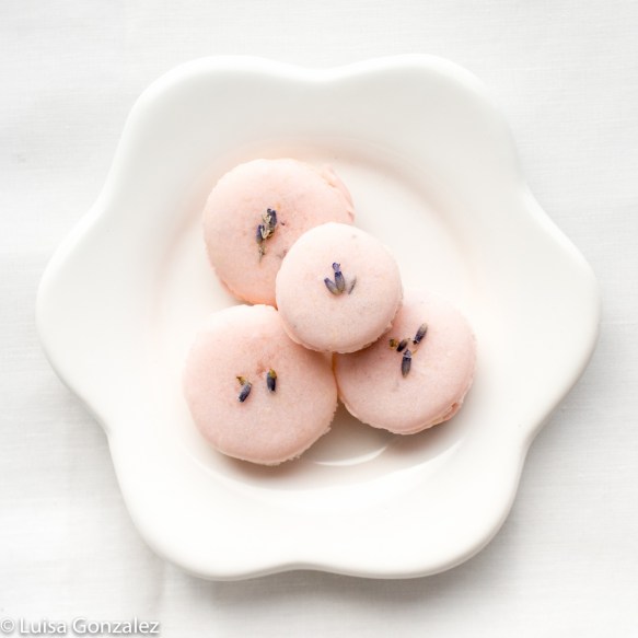 13-Lavanda-04-08-2016