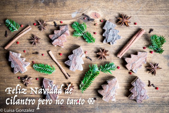 1-16-12-2016-navidad
